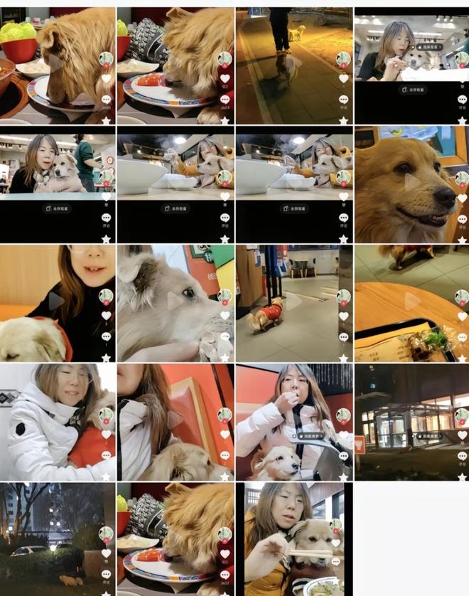 脸曝光是惯犯逆天言论被扒还在旅游开元棋牌女子带狗上桌吃肉后续：正(图14)