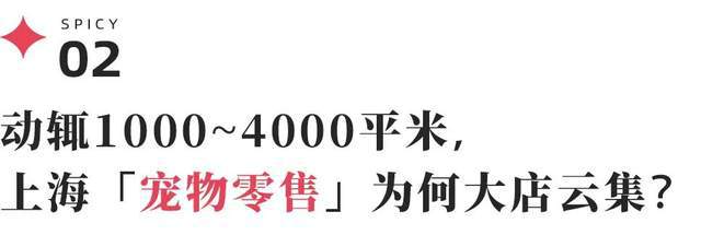 元鲜食、LV宠物箱包社交+情绪价值开元棋牌上海宠物零售领先全国？59