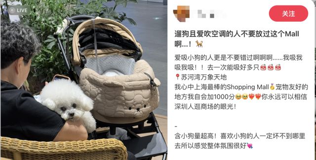 元鲜食、LV宠物箱包社交+情绪价值开元棋牌上海宠物零售领先全国？59(图11)