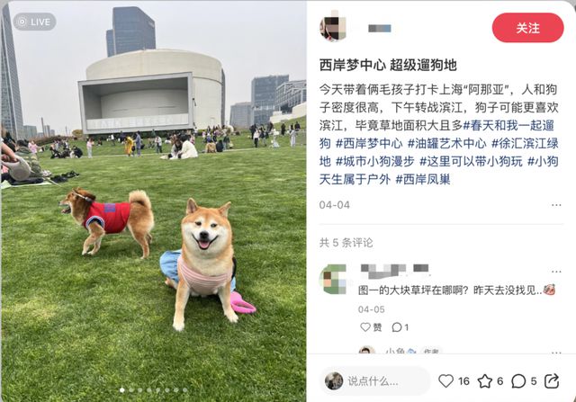 元鲜食、LV宠物箱包社交+情绪价值开元棋牌上海宠物零售领先全国？59(图13)