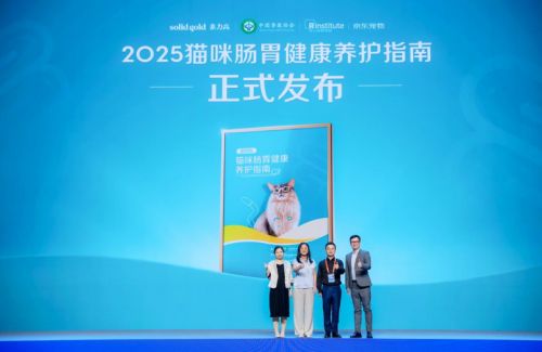 d Gold素力高重磅推出新品冻干洁齿棒开元棋牌颠覆传统猫咪洁齿方式！Soli(图2)