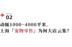 元鲜食、LV宠物箱包社交+情绪价值开元棋